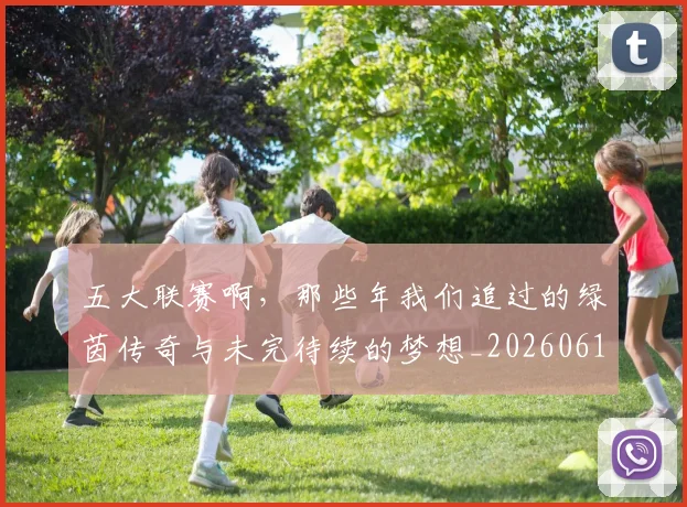 五大联赛啊，那些年我们追过的绿茵传奇与未完待续的梦想_20260611141040