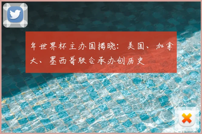 年世界杯主办国揭晓：美国、加拿大、墨西哥联合承办创历史