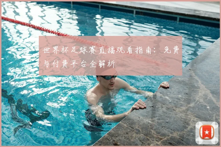 世界杯足球赛直播观看指南：免费与付费平台全解析