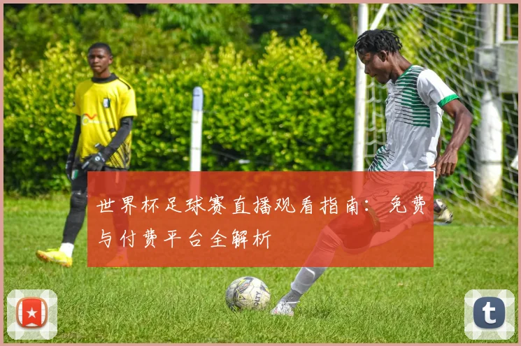 世界杯足球赛直播观看指南:免费与付费平台全解析